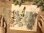 画像2: 【ネコポスOK】　PETシール　ドライフラワーシリーズ　ユーカリ (2)