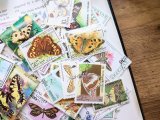 【ネコポスOK】　外国使用済切手　世界の蝶　100枚入り