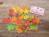 【ネコポスOK】　PETステッカー　木の葉シリーズ　40枚入り　Red Maple Leaves