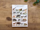 【ネコポスOK】　フランス　ポストカード　LES ANIMAUX D'AFRIQUE AFRICAN ANIMALS