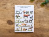 【ネコポスOK】　フランス　ポストカード　LES ANIMAUX DE LA FERME FARM ANIMALS