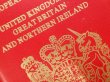 画像2: 【ネコポスOK】　パスポートカバー　IRELAND　レッド (2)