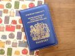 画像1: 【ネコポスOK】　パスポートカバー　IRELAND　ブルー (1)