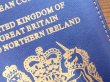 画像2: 【ネコポスOK】　パスポートカバー　IRELAND　ブルー (2)