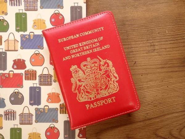 画像1: 【ネコポスOK】　パスポートカバー　IRELAND　レッド (1)